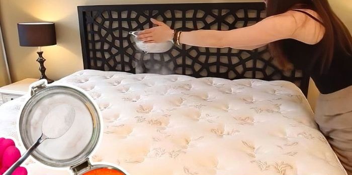 Aprende a Desinfectar tu Colchón y tus Almohadas Fácilmente