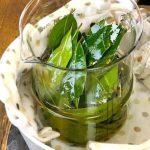 Aceite de Laurel: Cómo prepararlo en casa con Hojas Frescas y Aceite de Oliva Aceite de Laurel: Cómo prepararlo en casa con Hojas Frescas y Aceite de Oliva