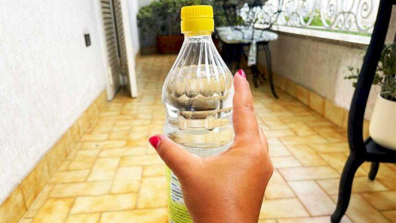 Una Botella de Vinagre es suficiente para tener todo el Balcón limpio!