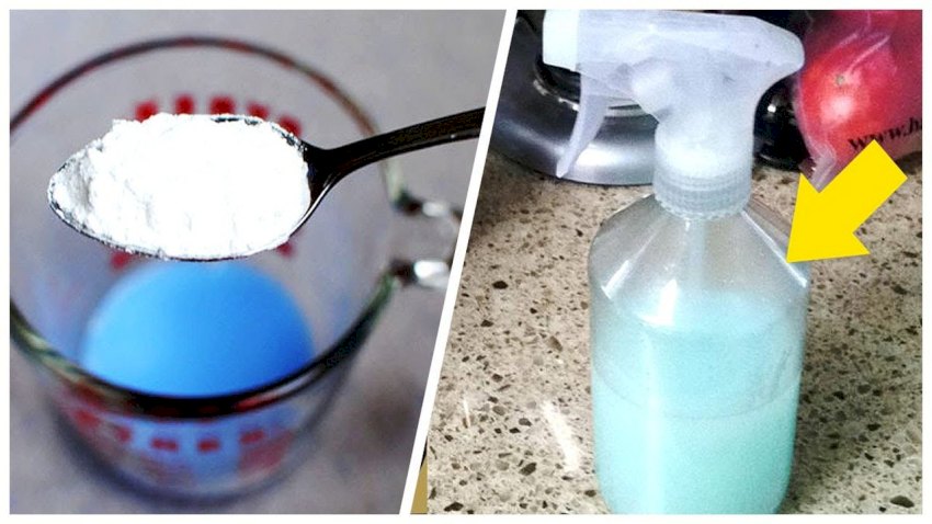 Con esta sencilla mezcla, conseguirás que tu casa Huela tan bien que tus Vecinos se pondrán celosos.