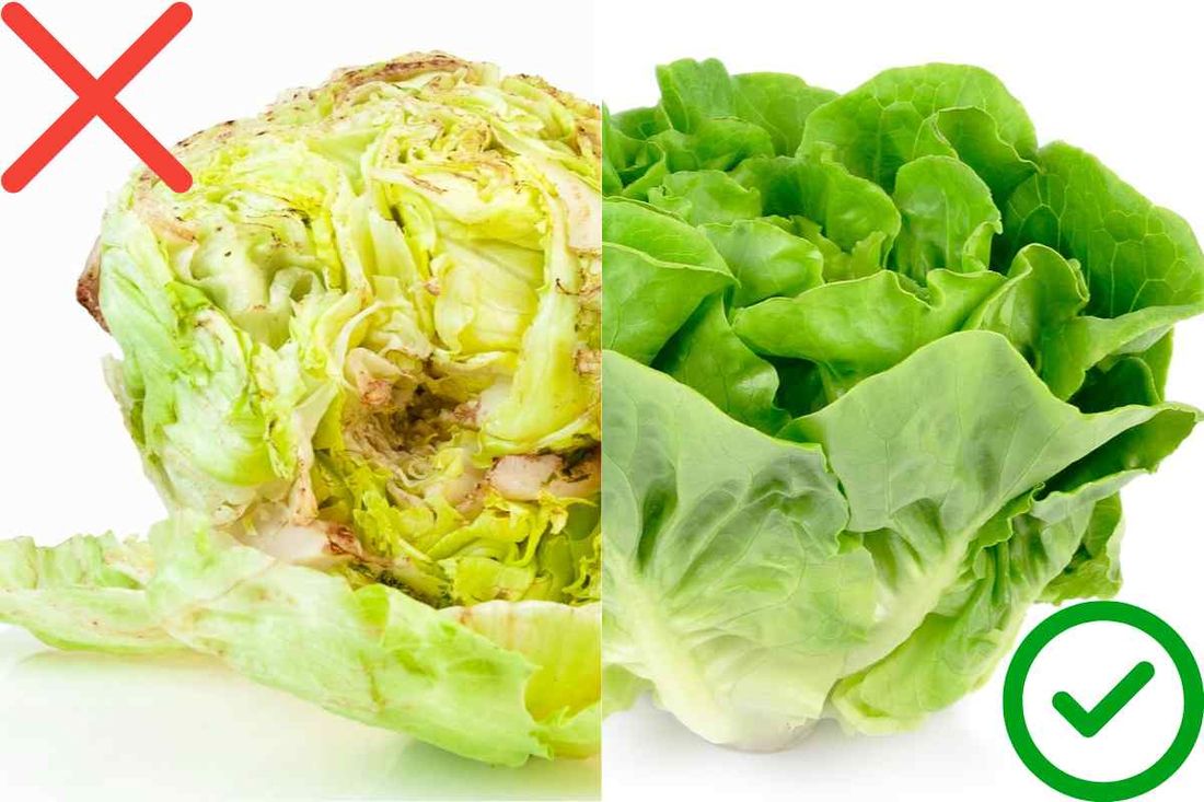 Truco para que la Lechuga no se Dañe (Oxide) que solo conocen los mejores Chef
