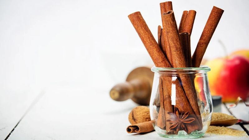 4 Formas muy Útiles para Reciclar las Ramitas de Canela...........🌿 4-formas-muy-utiles-para-reciclar-las-ramitas-de-canela-f09f8cbf-CANELA-USO