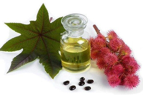 ACEITE DE RICINO