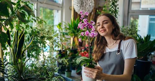 Aprende a Preparar una Composta Especial para que Tus Orquídeas duren Más aprende-a-preparar-una-composta-especial-para-que-tus-orquideas-duren-mas-COMPOST-ORQUIEDEAS