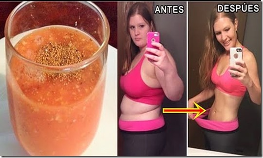 avena papaya