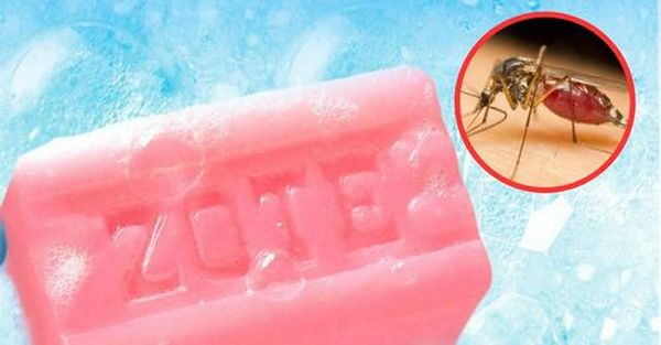 como-usar-el-jabon-zote-como-repelente-de-mosquitos-JABON-ZOTE