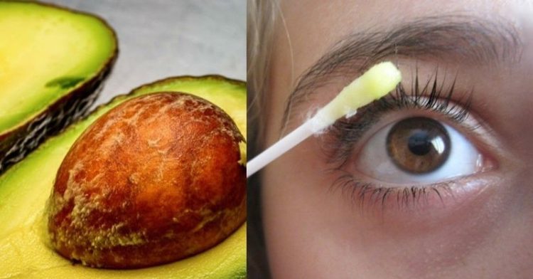 Cómo Utilizar el Aguacate Para que las Pestañas Crezcan en un Mes como-utilizar-el-aguacate-para-que-las-pestanas-crezcan-en-un-mes-aguacate-pestanas