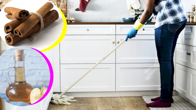 ¿Cuáles son los Beneficios de Trapear la Casa con Vinagre y Canela? cuales-son-los-beneficios-de-trapear-la-casa-con-vinagre-y-canela-trapear-la-casa-con-canela-y-vinagre-beneficios