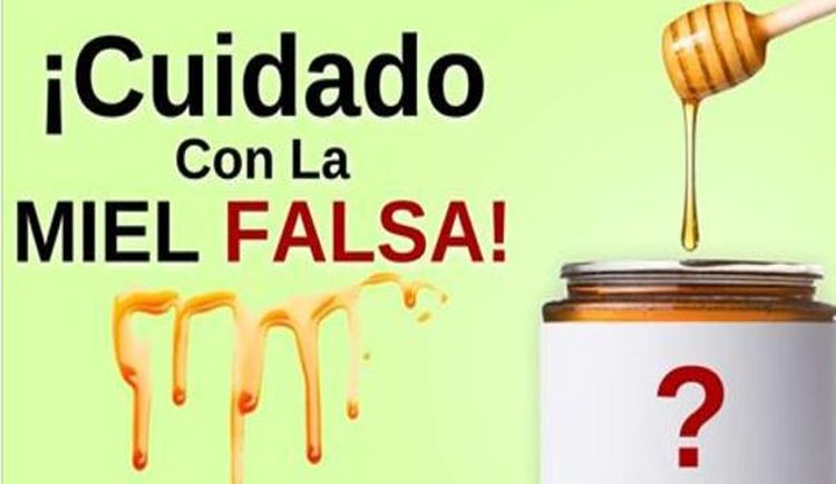 cuidado-la-miel-falsa-saber-la-miel-pura-MIEL-FALSA