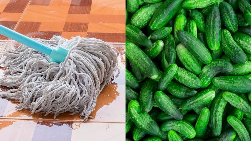 descubre-como-trapear-tu-cocina-con-pepino-para-ahuyentar-cucarachas-y-eliminarlas-TRAPO-PEPINO