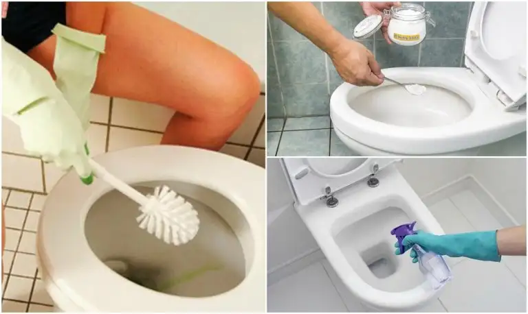 el-truco-genial-para-limpiar-y-desodorizar-inodoros-durante-un-mes-Como-eliminar-el-sarro-del-inodoro-con-4-soluciones-naturales-768x458-1