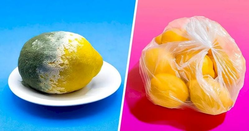 el-truco-para-almacenar-limones-durante-3-meses-o-mas-y-evitar-que-se-pudran-LIMONES