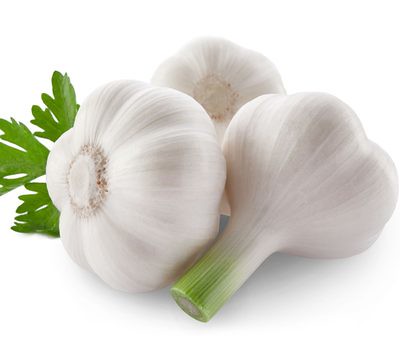 AJO