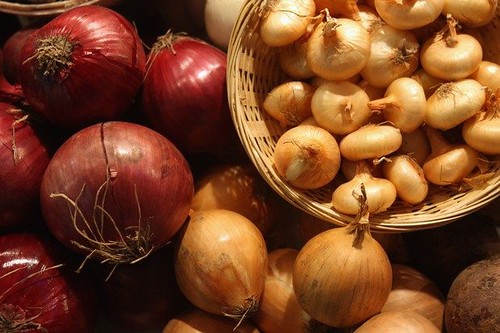 cebolla