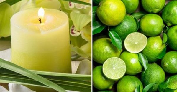 👉Aprende a Hacer Velas Caseras con Aroma a Limón🧐👇 f09f9189aprende-a-hacer-velas-caseras-con-aroma-a-limonf09fa790f09f9187-VELAS