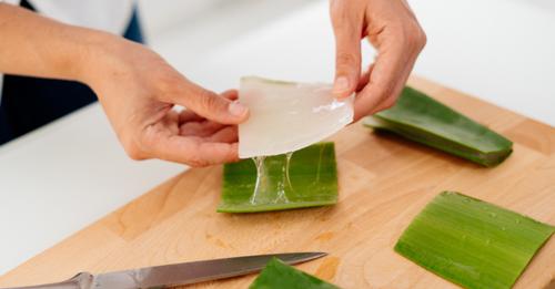 f09f9982como-hacer-una-mascarilla-exfoliante-a-base-de-aloe-veraf09f918c-ALOE-VERA