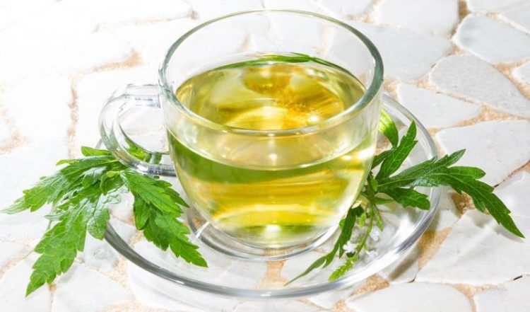 La Verbena, una Hierba que Sirve Para Muchas Cosas, no Solo Para Subirnos el Animo. la-verbena-una-hierba-que-sirve-para-muchas-cosas-no-solo-para-subirnos-el-animo-vervain-tea