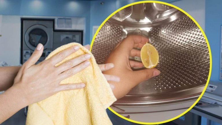 limon-en-la-lavadora-el-truco-que-soluciona-un-gran-problema-image-257