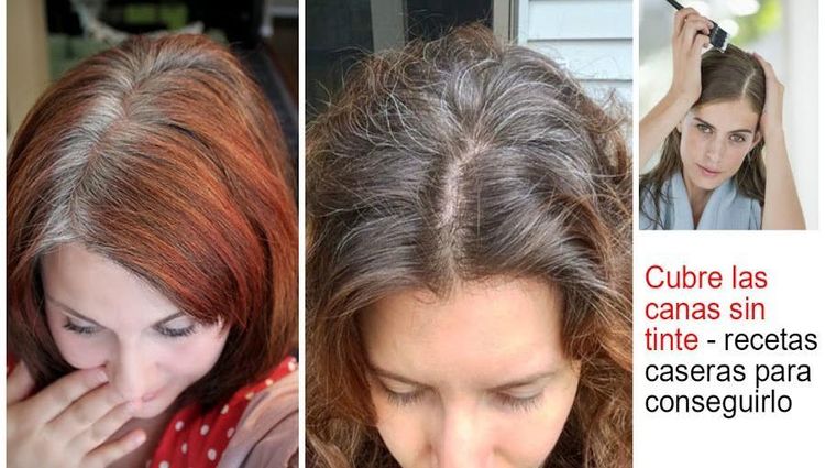 los-fabricantes-tintes-no-quieren-sepas-hoy-te-mostramos-las-mejores-recetas-caseras-recuperas-color-natural-pelo-cubre-canas
