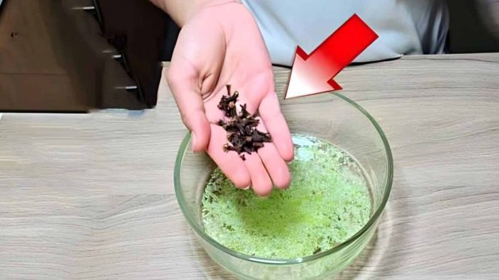 moscas-insectos-y-hormigas-nunca-mas-volveran-a-poner-un-pie-en-tu-casa-la-poderosa-mezcla-msoca