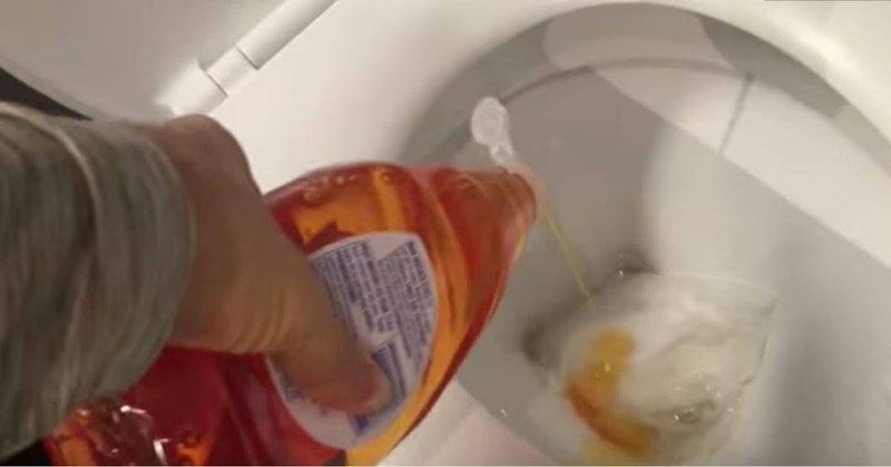 ¡Ponga un Poco de Detergente en su Inodoro por esta razón innegable! ponga-un-poco-de-detergente-en-su-inodoro-por-esta-razon-innegable-DETERGENTE-INODORO