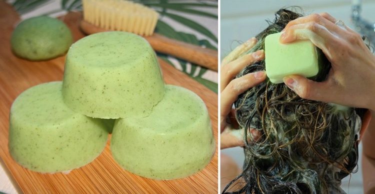 prepara-tu-shampoo-solido-100-natural-en-casa-con-aloe-vera-champu-solido