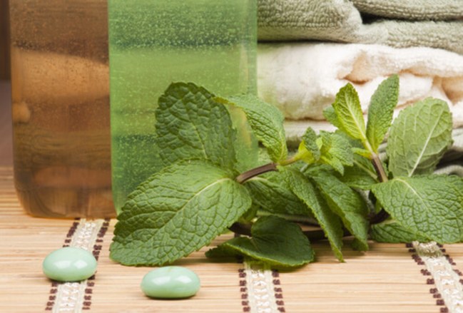 menta-cuidado-cabello