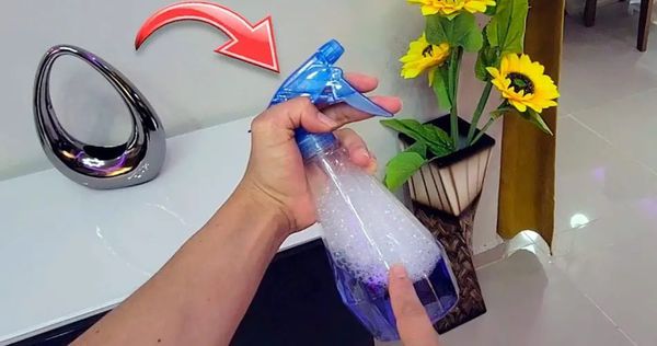 pulverizalo-y-ya-no-encontraras-moscas-mosquitos-cucarachas-e-insectos-volando-por-casa-MOSCA-Y-MOSQUITOS
