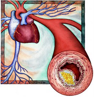 colesterol 1