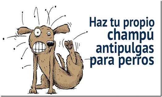 antipulgas