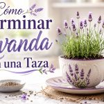 🌿 Cómo Germinar Lavanda en una Taza y Darle a tu Hogar un Aroma Natural y Relajante LAVANDA
